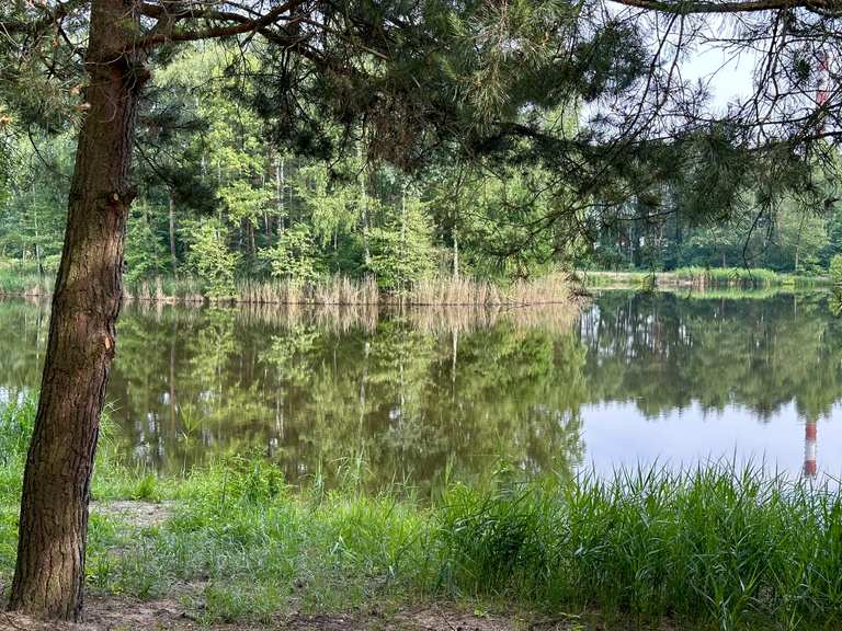 top-13-most-beautiful-mtb-trails-around-bieru-l-dziny-komoot