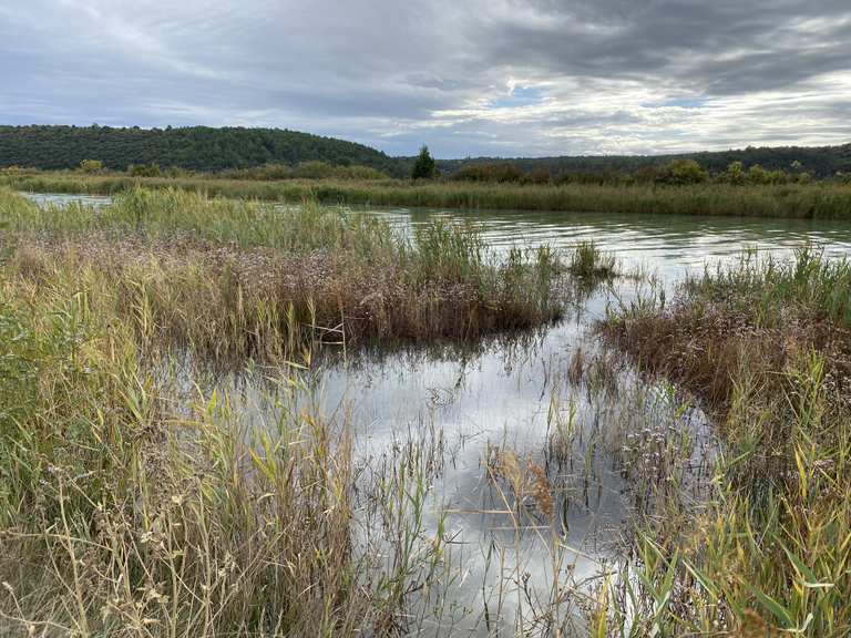 Top 10 Bike Rides and Cycling Routes around Grad Novigrad | Komoot