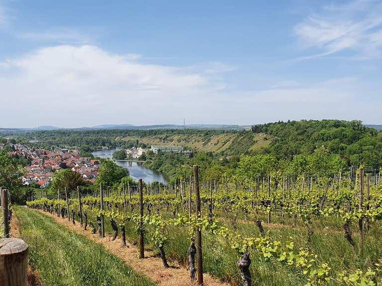 Ausflugsziele rund um Marbach am Neckar - Die Top 20 | Komoot