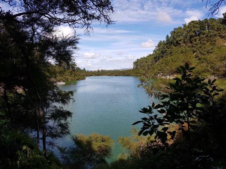Top 10 Hikes and Walks in Kaingaroa Forest | Komoot