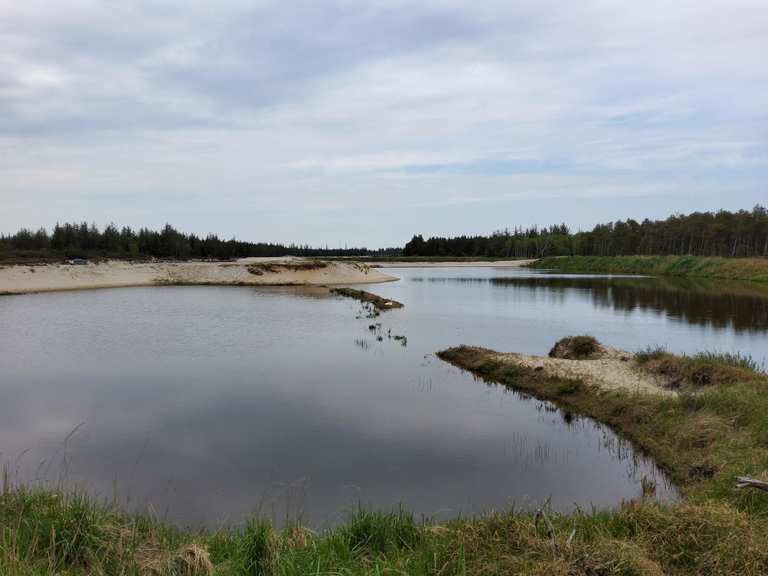 Die 7 schönsten Wanderungen im Tranum Klitplantage | Komoot