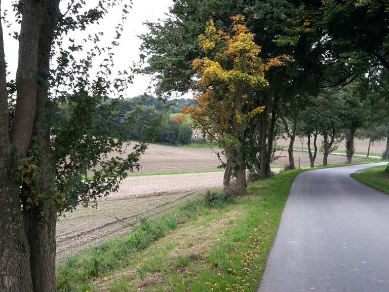 Die 20 schönsten Fahrradtouren rund um Altenbeken | Komoot