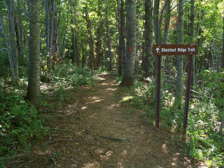 The best walks and hikes in Chestnut Ridge Heritage Preserve | Komoot