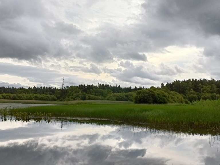 The best walks and hikes around Devilla Forest | Komoot
