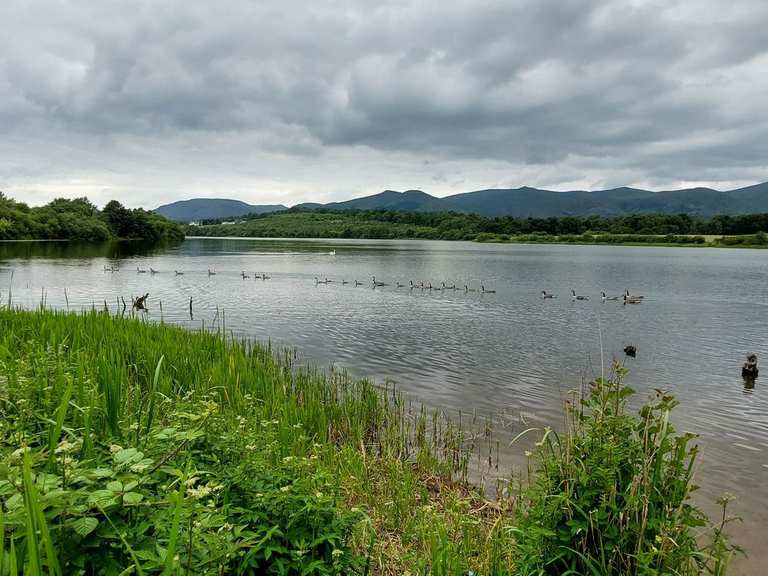 Attractions and Places To See around Devilla Forest - Top 6 | Komoot