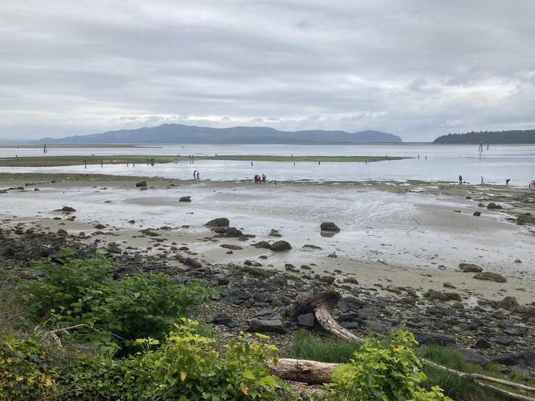 Attractions and Places To See in Tillamook State Forest - Top 10
