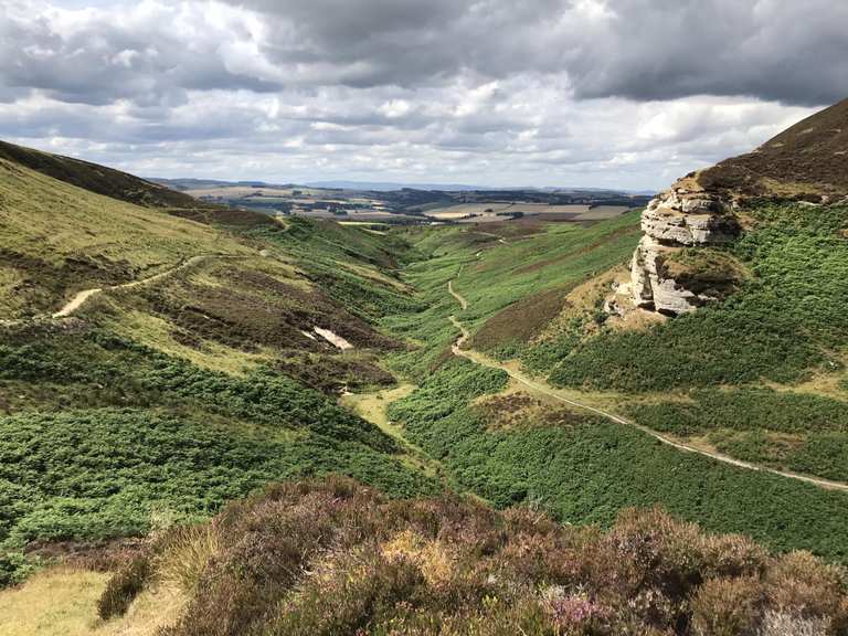 The best walks and hikes around Auchtermuchty And Strathmiglo | Komoot