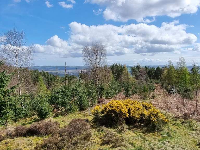 Top 7 Hikes and Walks around Moonzie | Komoot