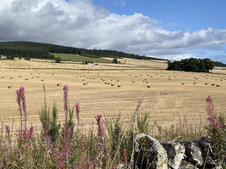 Attractions and Places To See around Alness - Top 20 | Komoot