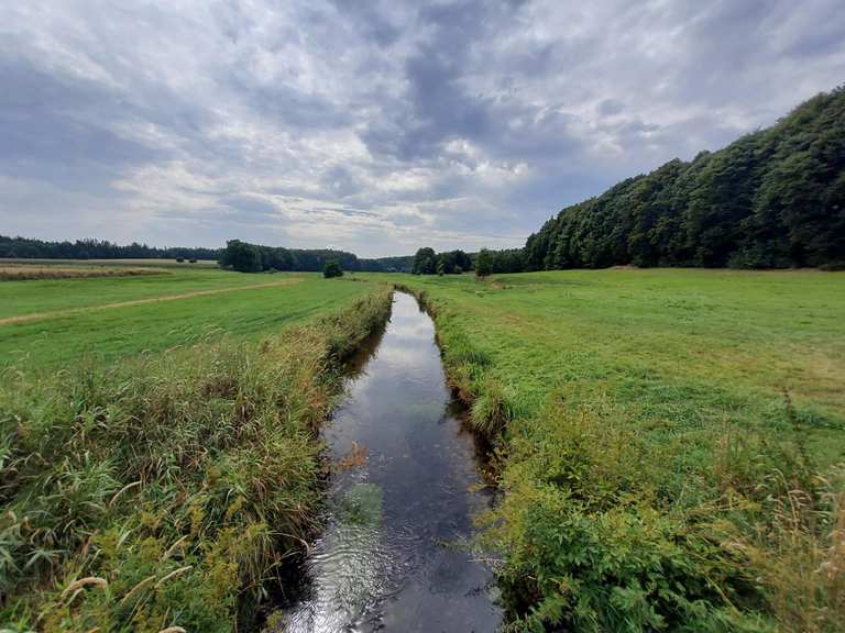 Schlachter Schrder Hohenlockstedt