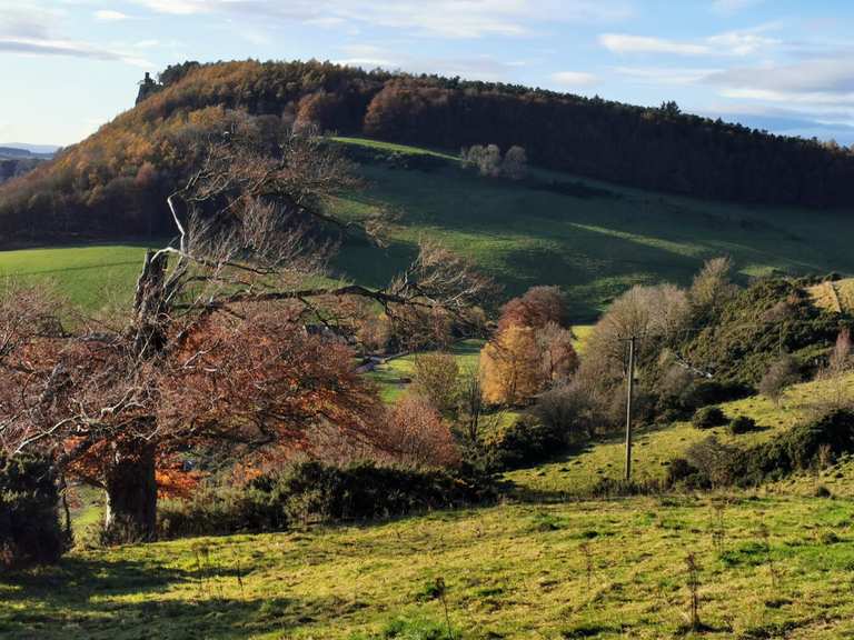 Top 10 Running Trails around Scone And District | Komoot
