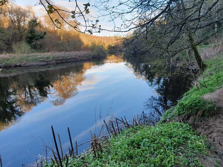 The best walks and hikes around Rutherglen | Komoot