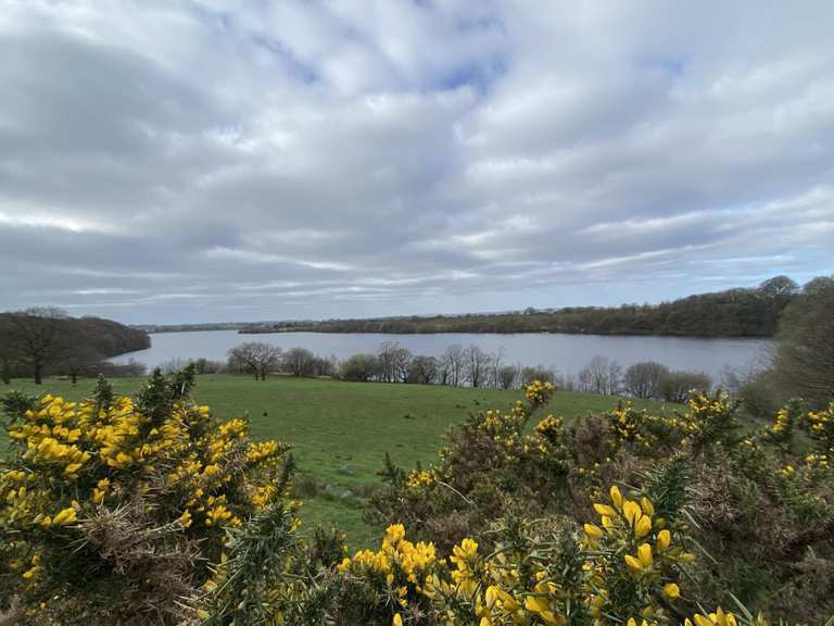 Attractions and Places To See around Charnock Richard - Top 20 | Komoot