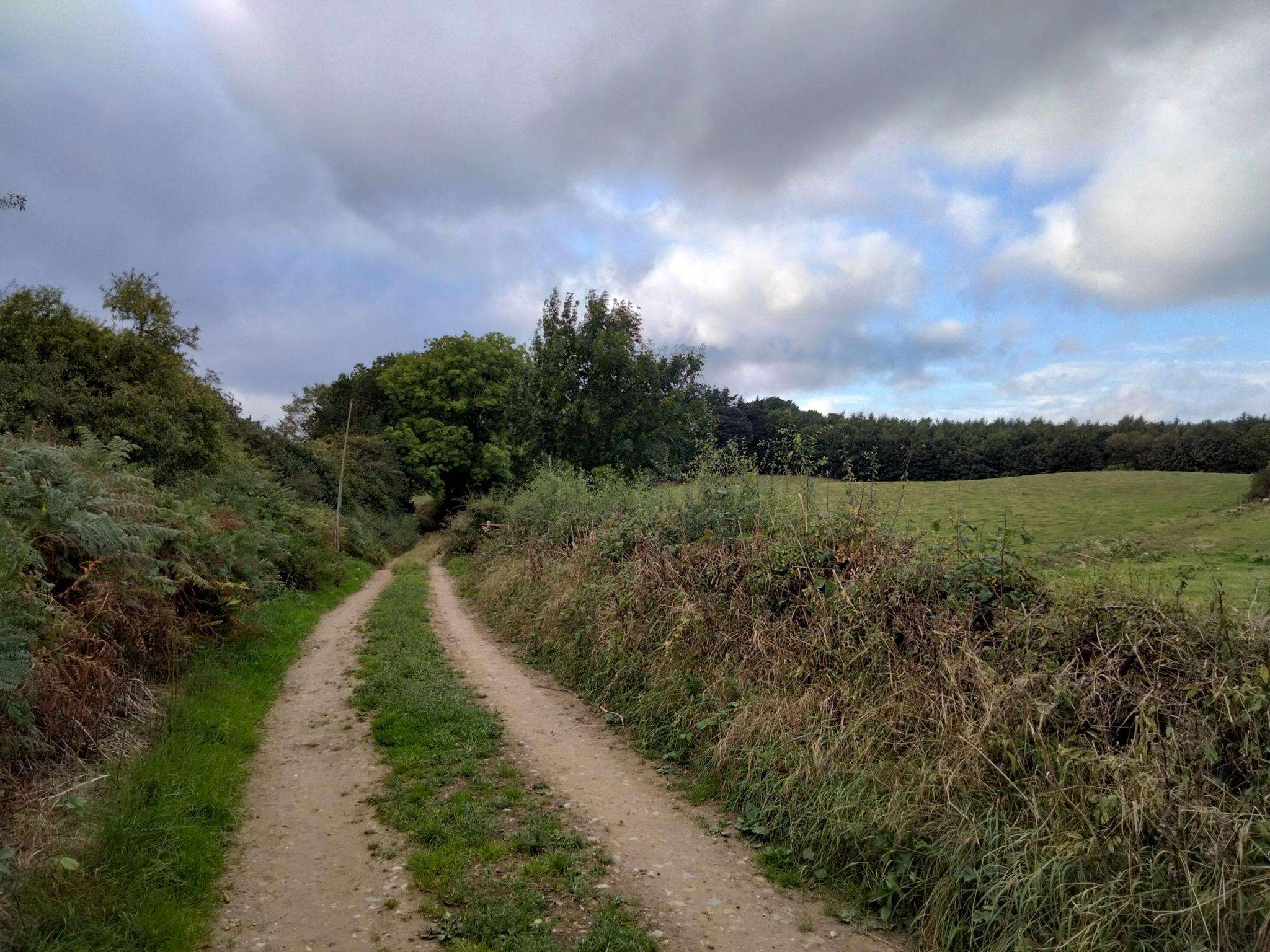 Die 7 schönsten Wanderungen rund um Crakehall | Komoot