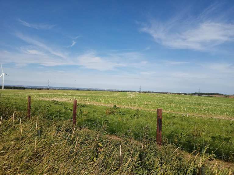 Top 8 Hikes and Walks around Rudby | Komoot