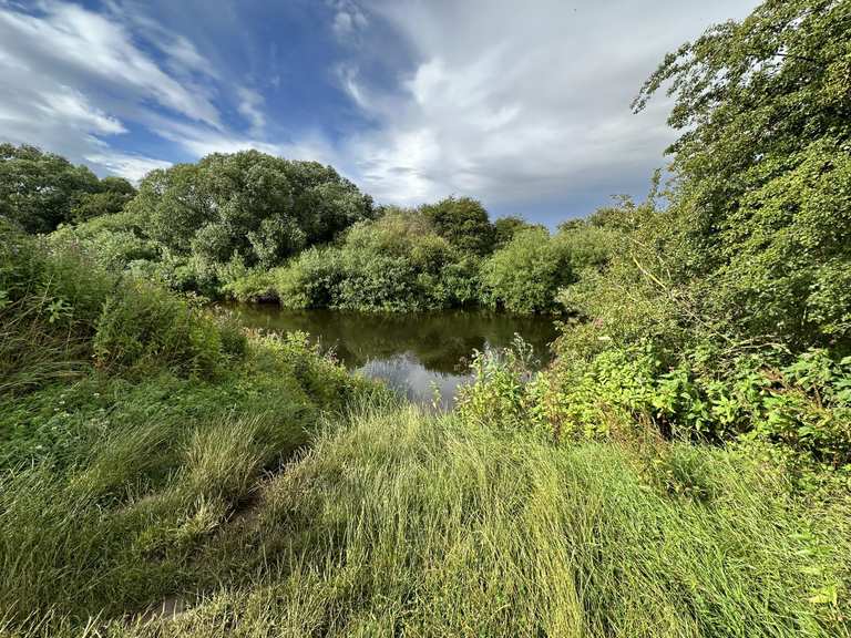 The best walks and hikes around Dishforth | Komoot