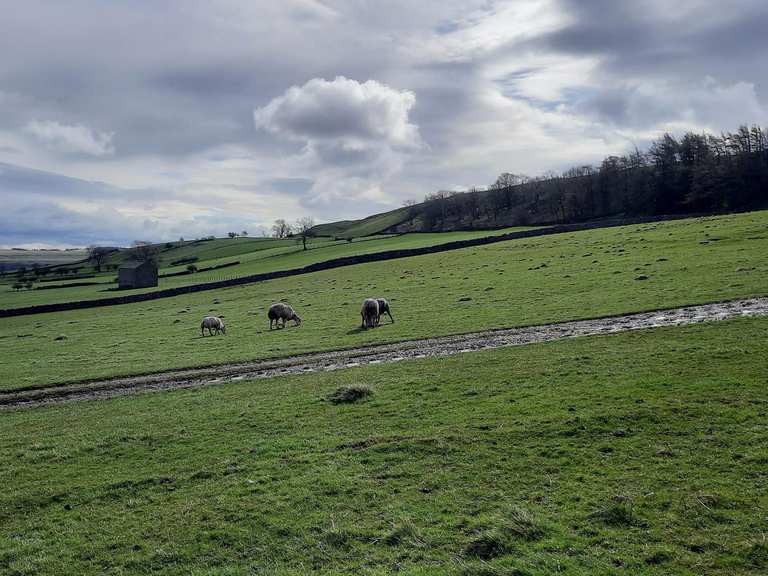 The best walks and hikes around Bellerby | Komoot