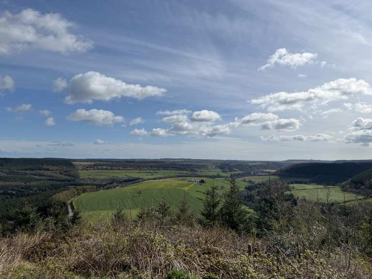 The best walks and hikes around Ebberston And Yedingham | Komoot