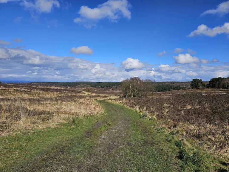 The best walks and hikes around Penkridge | Komoot