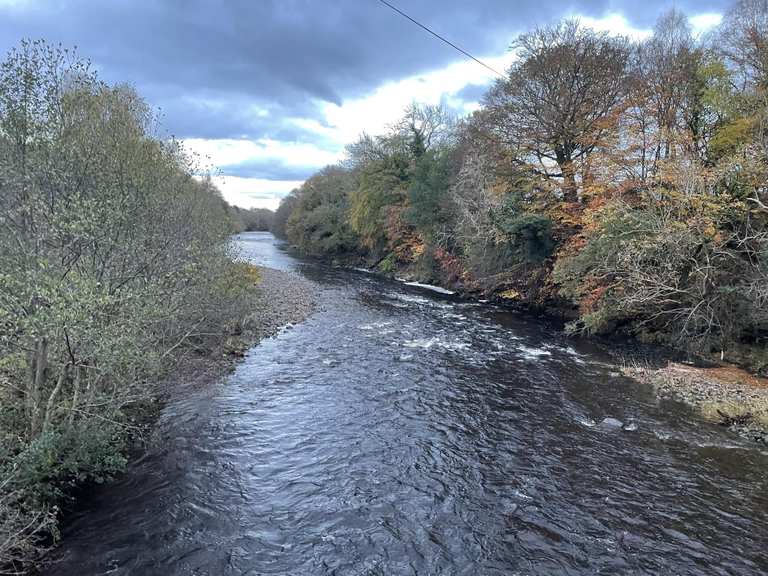 Top 10 Hikes and Walks around Witton-Le-Wear | Komoot