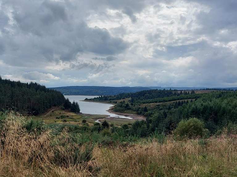 The best walks and hikes around Falstone | Komoot