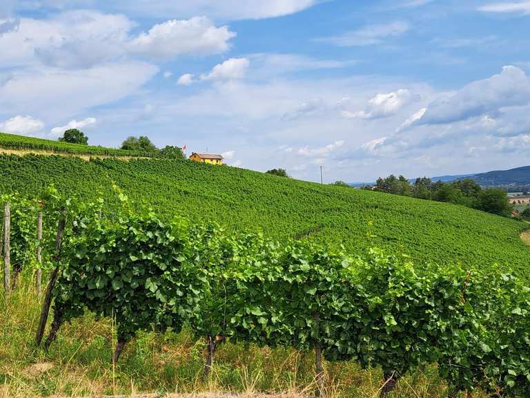Ausflugsziele rund um Großostheim - Die Top 20 | Komoot
