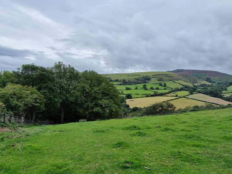 The best walks and hikes around Gwernaffield and Pantymwyn | Komoot