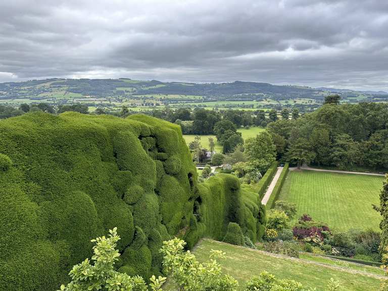 4 Cartouches PEAKOSIL Heavy Body Regular Set - Pâte à Empreinte Dentaire VPS - 50 Ml Chacune - Neuf