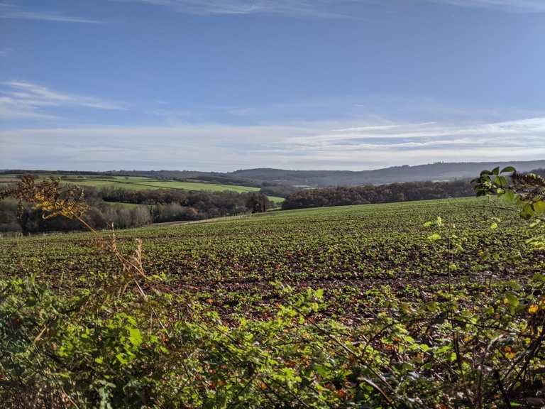 The best walks and hikes around Devauden | Komoot