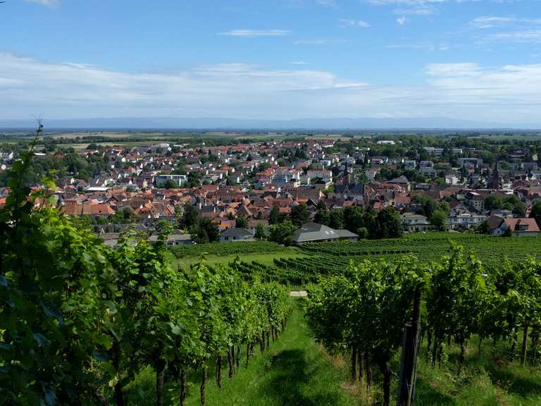 fahrrad bad bergzabern