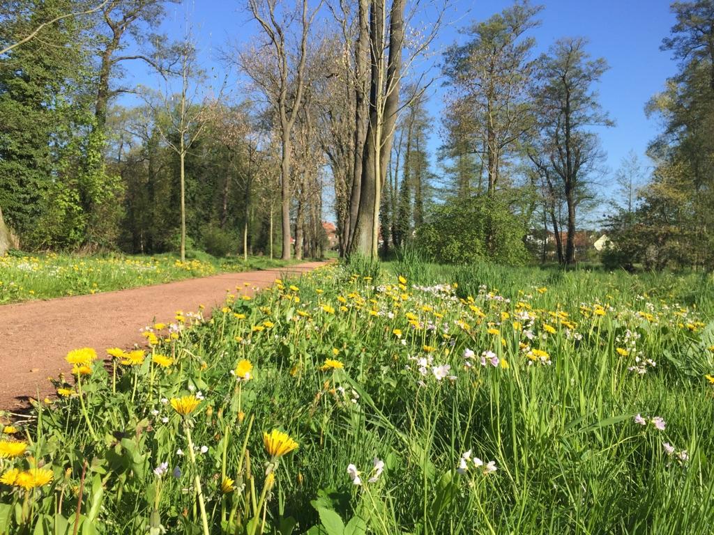 Ausflugsziele Und Sehenswrdigkeiten In Sachsen  Sachsen Tours