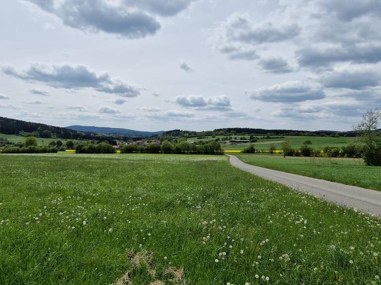 Ausflugsziele rund um Schönsee - Die Top 20 | Komoot