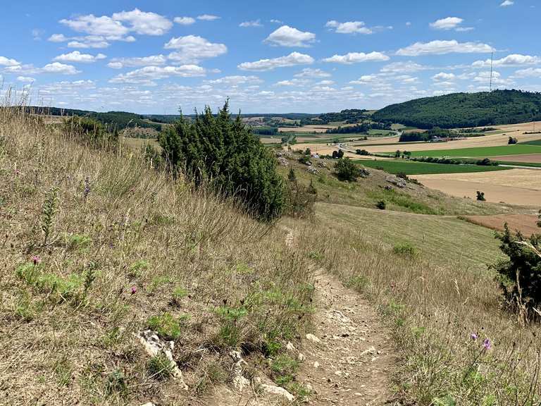 Die schönsten Wanderungen rund um Harburg (Schwaben) | Komoot