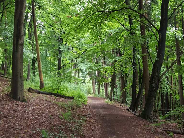 Die 10 schönsten Wanderungen rund um Blieskastel Komoot