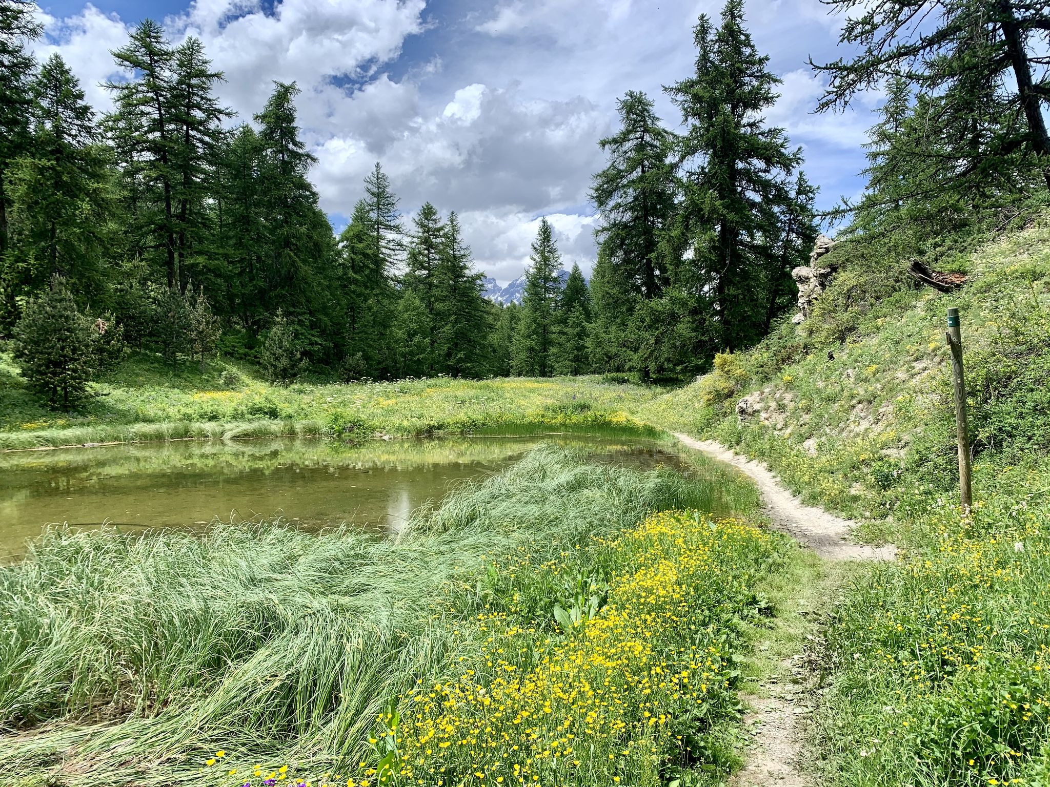 Rando vtt hautes alpes hotsell