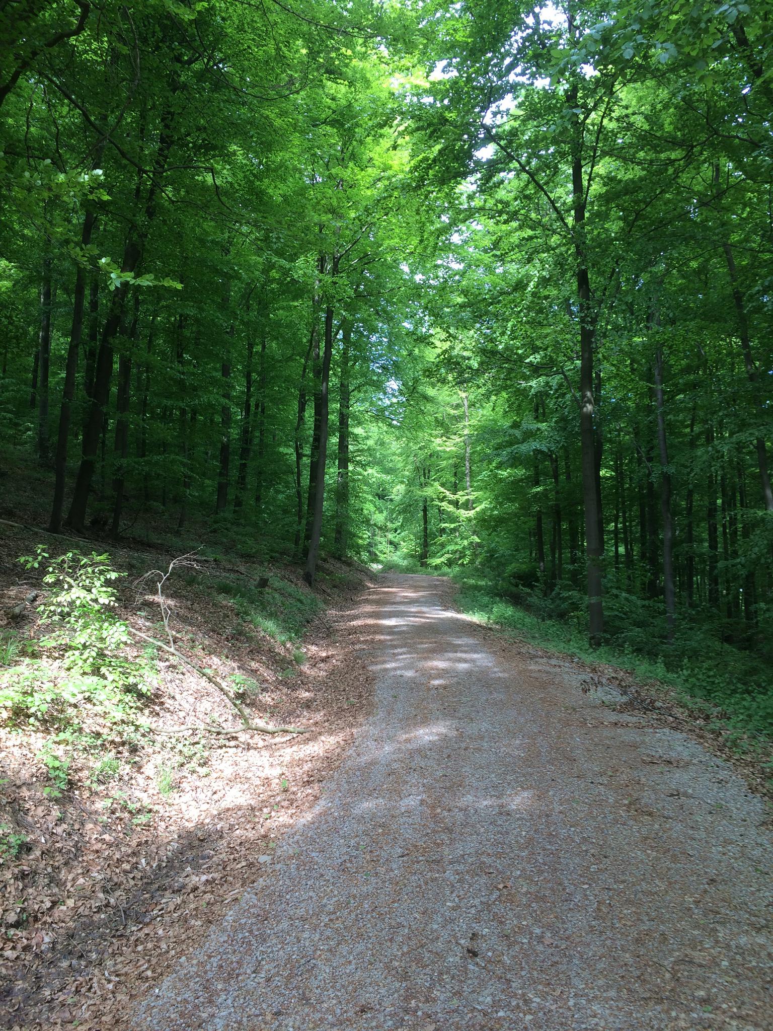 Die 20 Schönsten Wanderungen In Niedersachsen | Komoot