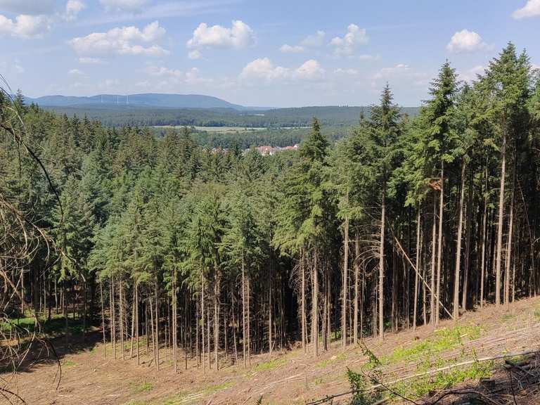Ausflugsziele rund um Enkenbach-Alsenborn - Die Top 20 | Komoot