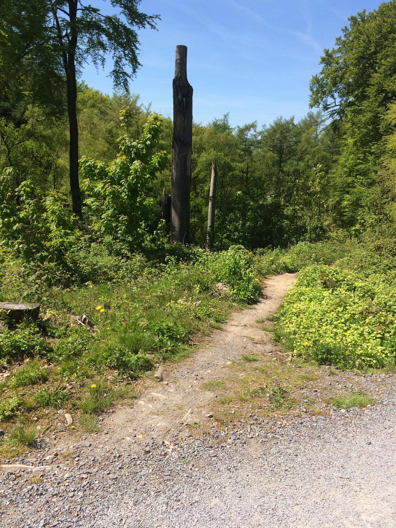 road bike paths near me