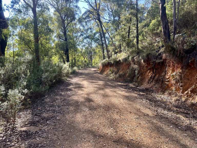 The best walks and hikes in Brindabella National Park | Komoot
