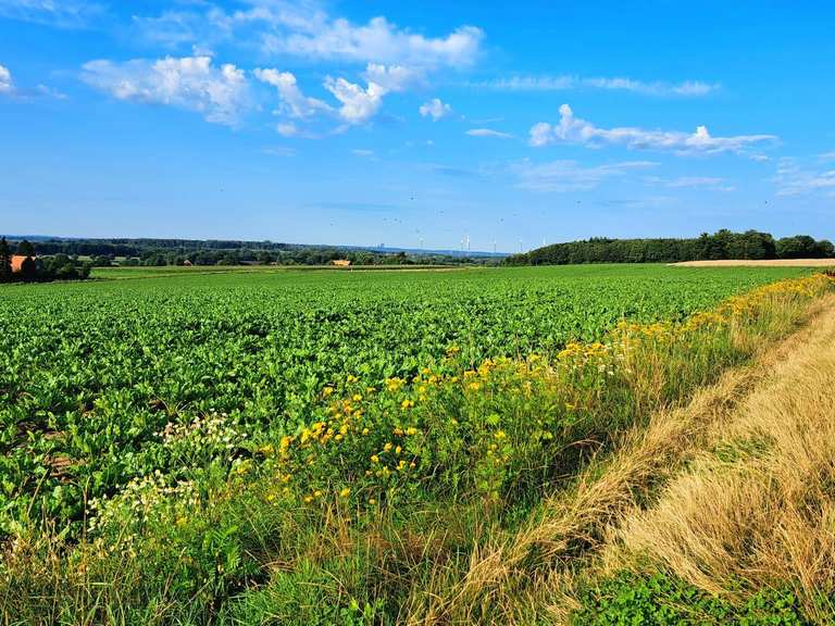 Top 10 Hikes and Walks around Bramsche | Komoot