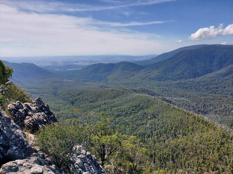 Top 8 Most Beautiful MTB Trails in Yarra Ranges National Park | Komoot