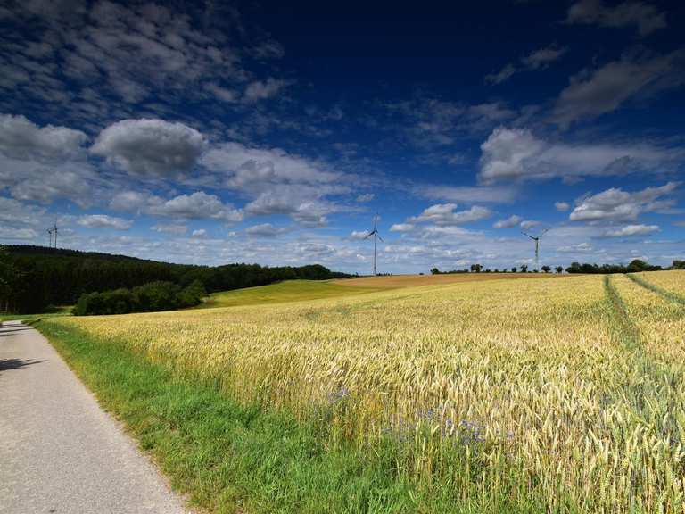 Attractions and Places To See around Kappel - Top 20 | Komoot