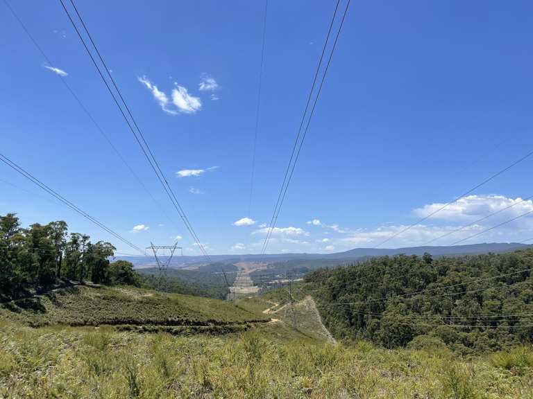The best walks and hikes in Kinglake National Park | Komoot
