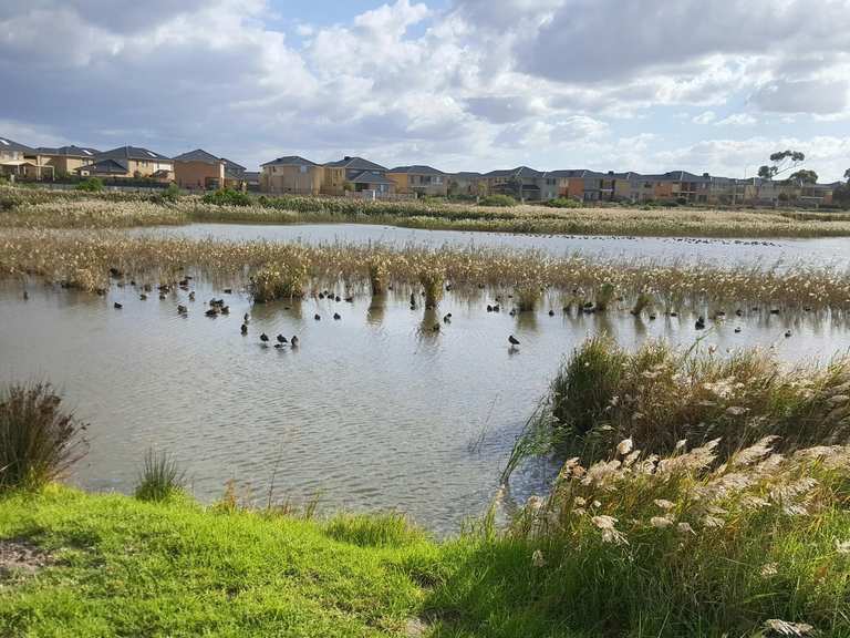 Top 8 Running Trails in Point Cook Coastal Park | Komoot