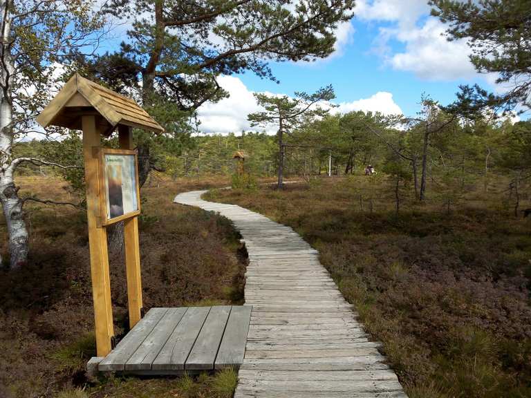 Die 10 schönsten Wanderungen rund um Fladungen | Komoot