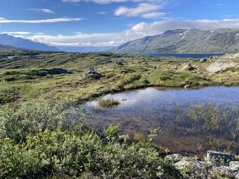 Los mejores sitios que ver en Torbudalen Biotopvernområde - Top 5 | Komoot