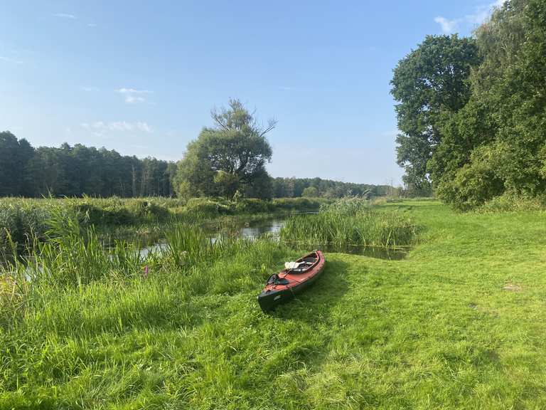 Die 10 schönsten Wanderungen im Rezerwat Rzeka Drwęca | Komoot