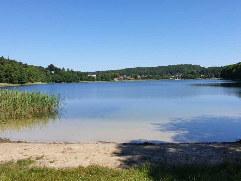 Die 12 schönsten MountainbikeTouren im Mokrzyckie Torfowisko Komoot