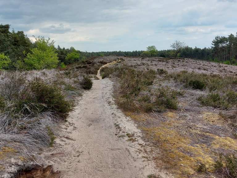 de-beste-wandelingen-en-hikes-op-de-veluwe-komoot