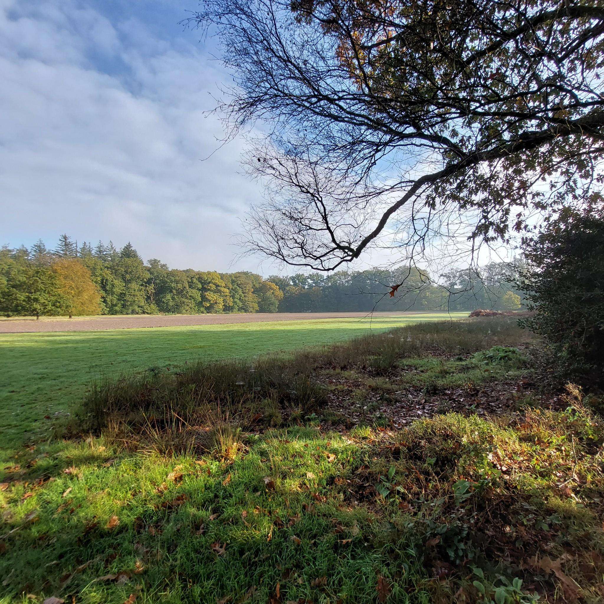 De 10 mooiste wandelroutes in Paleispark Het Loo | Komoot